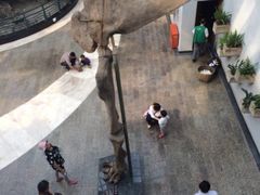 iphone_upload_pic-自贡恐龙博物馆