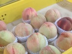 -老袁家蜜桃农场·阳山水蜜桃