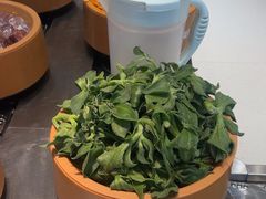 -龍歌自助小火锅(李沧丽达店)