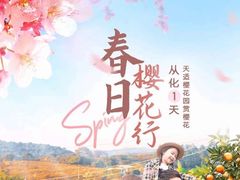 -天适樱花悠乐园