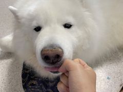 -谐和贝康宠物医院24小时·宠保定点(急重症转诊中心)