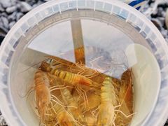 -DGE季风钓虾营地·团建·聚会