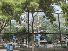 -石家庄市动物园