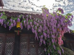 -淹城春秋乐园