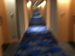 -上海虹桥西郊假日酒店