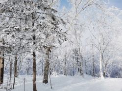 -大秃顶子山