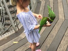-新加坡飞禽公园