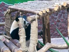 -黔灵山公园