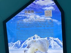 -泉城欧乐堡海洋极地世界