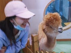 -藦茜花园宠物主题亲子互动体验馆(国顺东路店)