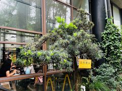 -扫雪煮茶(西村店)
