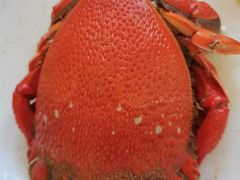 -澜悦港海鲜体验主题餐厅