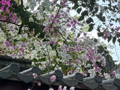 -深圳国际园林花卉博览园