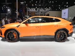 -合肥滨湖国家森林公园