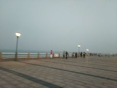 -日照海滨国家森林公园