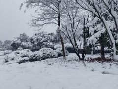 -洋湖国家湿地公园