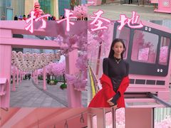 -金茂览秀城