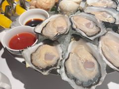 -Oyster Talks 四度蚝法餐厅