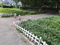 -重庆鸡公煲·青锅花椒鱼(牡丹江路店)