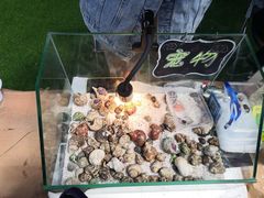 -南戴河国际娱乐中心