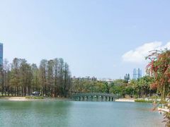 -四海公园(南山区)