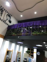 -明洞造型精品烫染