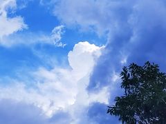 -美的鹭湖森林度假区