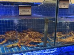 -明州小宴(文化广场店)