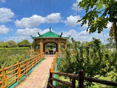 -长廊欢乐园