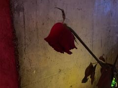 -COMMUNE幻师(上邦百汇城店)