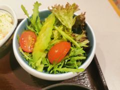 -dodonpa.墩墩伐 便当食堂(博华广场店)