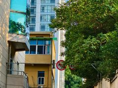 -杭州半山国家森林公园