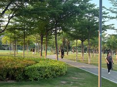 -彩虹沙滩