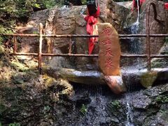 -天女山森林公园