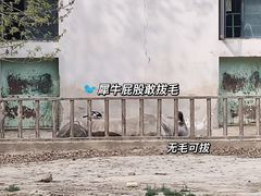 -天津市动物园