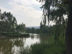 -晋祠公园