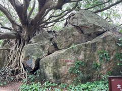 -宋井风景区