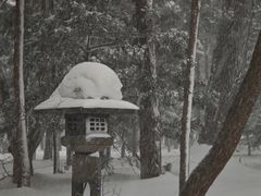 -北海道神宫