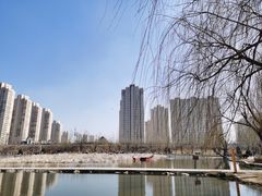 -前关湿地公园