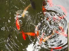 -南京市民俗博物馆(甘熙故居)