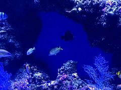 -泉城欧乐堡海洋极地世界