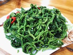 凉拌桑芽菜-顺意会馆(南门店)