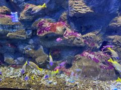 -威海华夏城景区