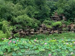 -黄陂区野村谷景区