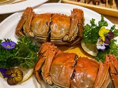 -杨氏青龙虾·羊蝎子(珠江路店)