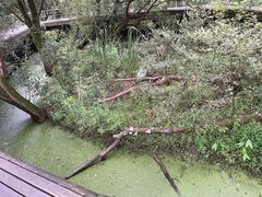 -西湖风景区-江洋畈生态公园