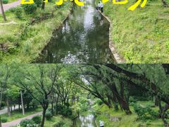-北坞公园