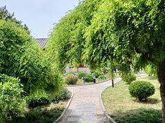 -洛阳古墓博物馆