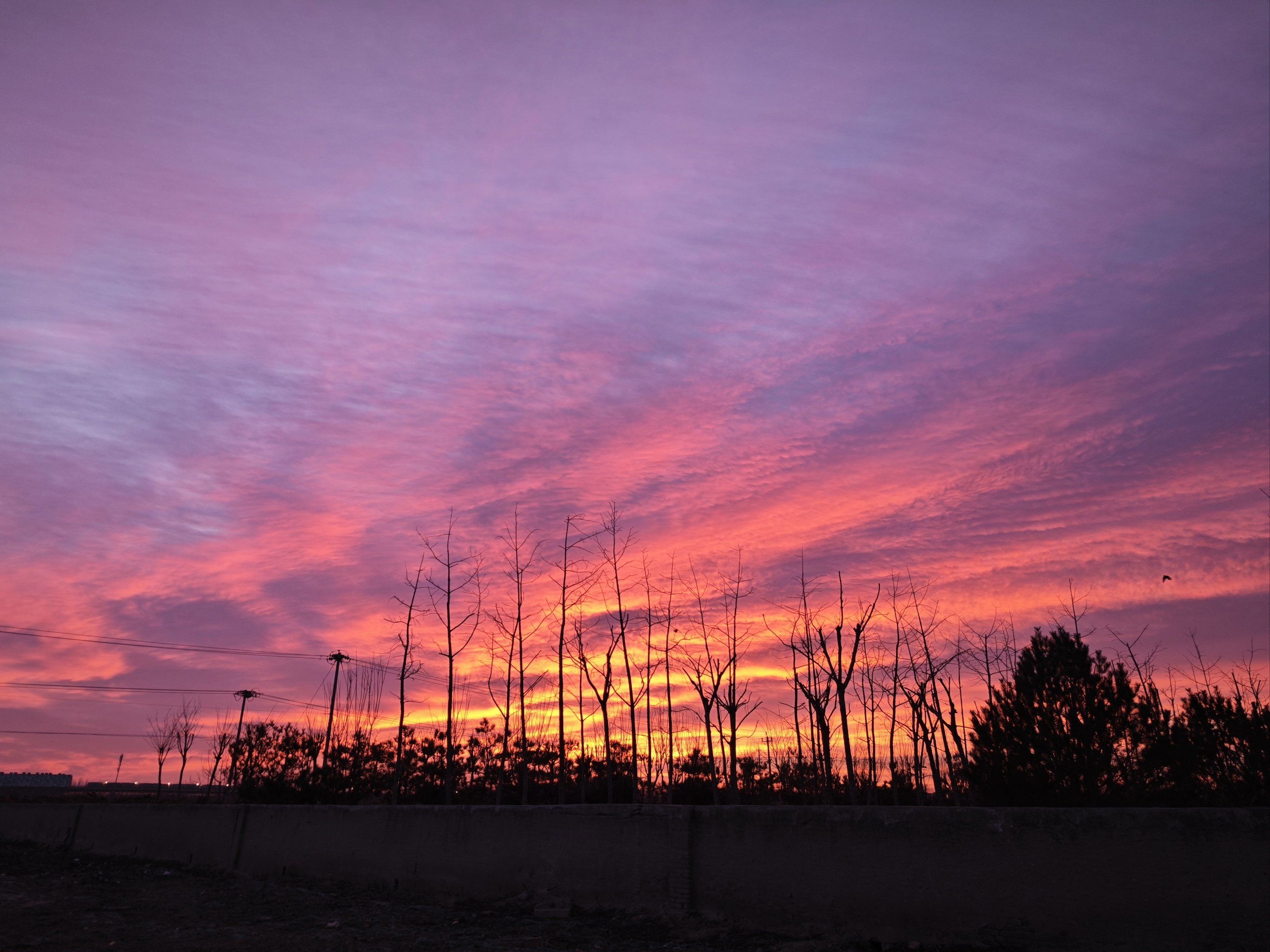 感觉是继九月份的又一次史诗级景观,太壮观了,我的朋友圈也全都是天空