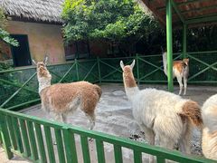 -杭州野生动物世界